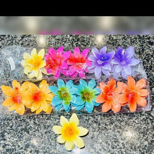 2 Pc – Flower Hair Clip Colorful Hair Band For Girls & Women